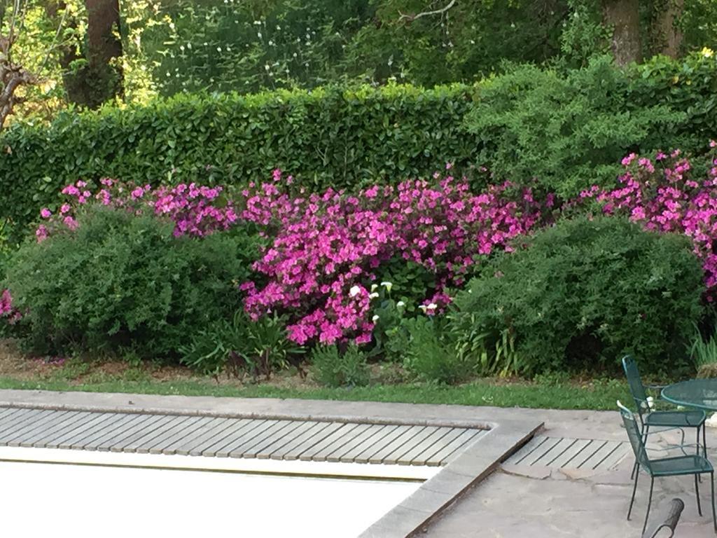 Golfetmer Bed & Breakfast Saint-Jean-de-Luz